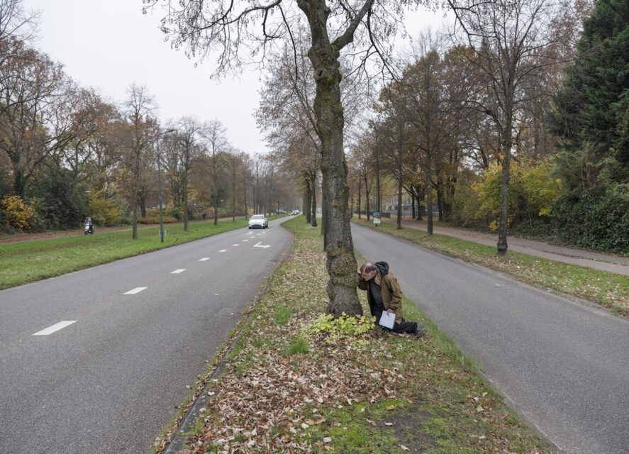 Lichenologist Kok van Herk monitors lichens on behalf of various provincial governments. Lichens are indicators of air pollution. Soest (NL), 2021 