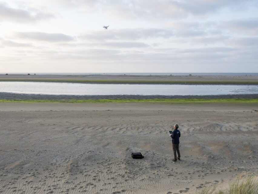 Using a drone and special software, a breeding tern colony is monitored after an outbreak of bird flu. Den Hoorn, Texel (NL), 2023