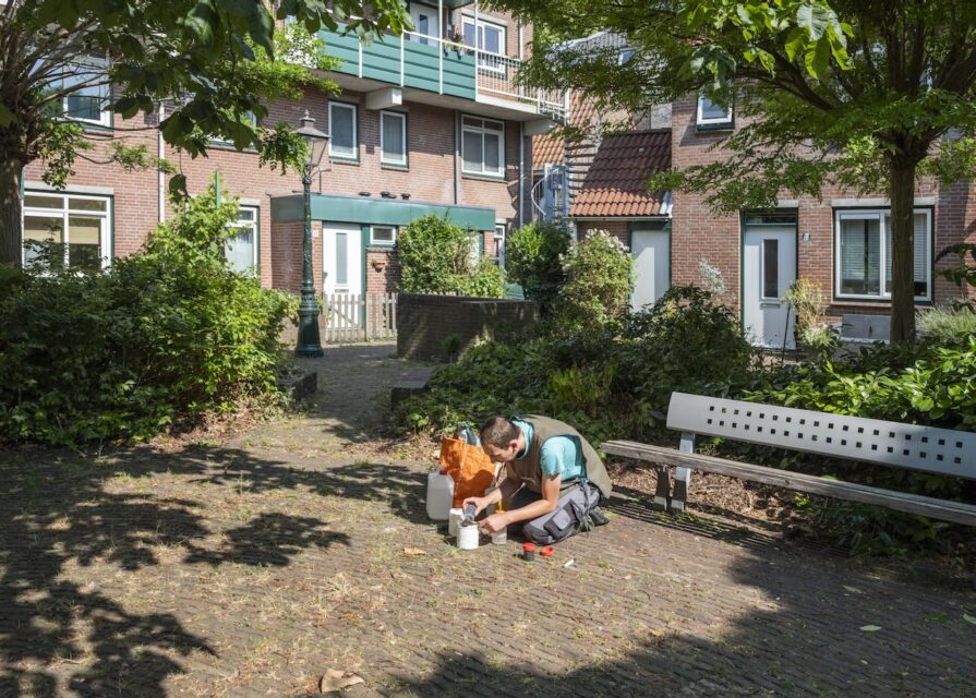 Researcher monitors ground beetles for the programme Verborgen Natuur (Hidden Urban Nature). Leiden (NL), 2023