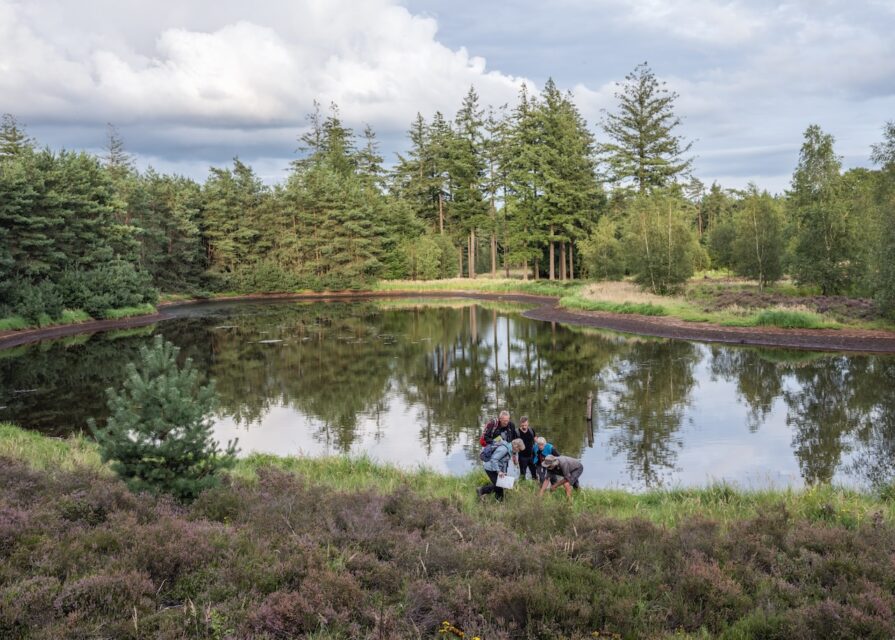 FLORON volunteers map vegetation weekly in kilometer squares, this time in a water catchment area of ​​Vitens on the Veluwe. Epe (NL), 2023