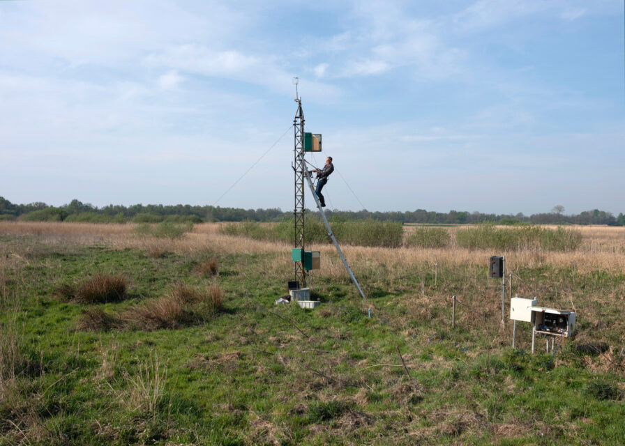 Dry deposition measurement of nitrogen by RIVM. Every 14 days tubes are exchanged and examined in a laboratory. Nederhorst Den Bergh (NL), 2019 